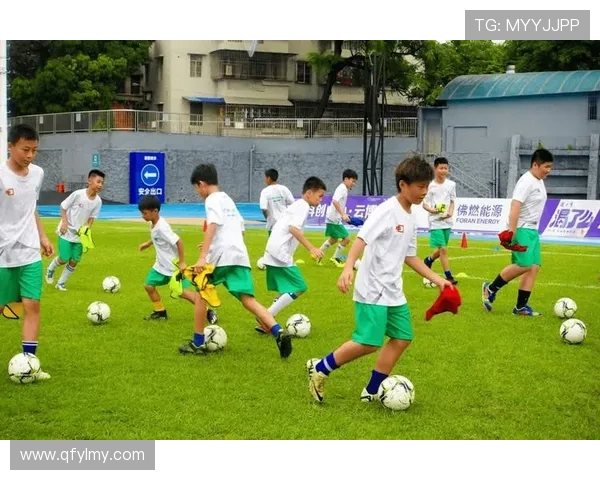 德甲球队中佛山球员名单及其贡献情况详解